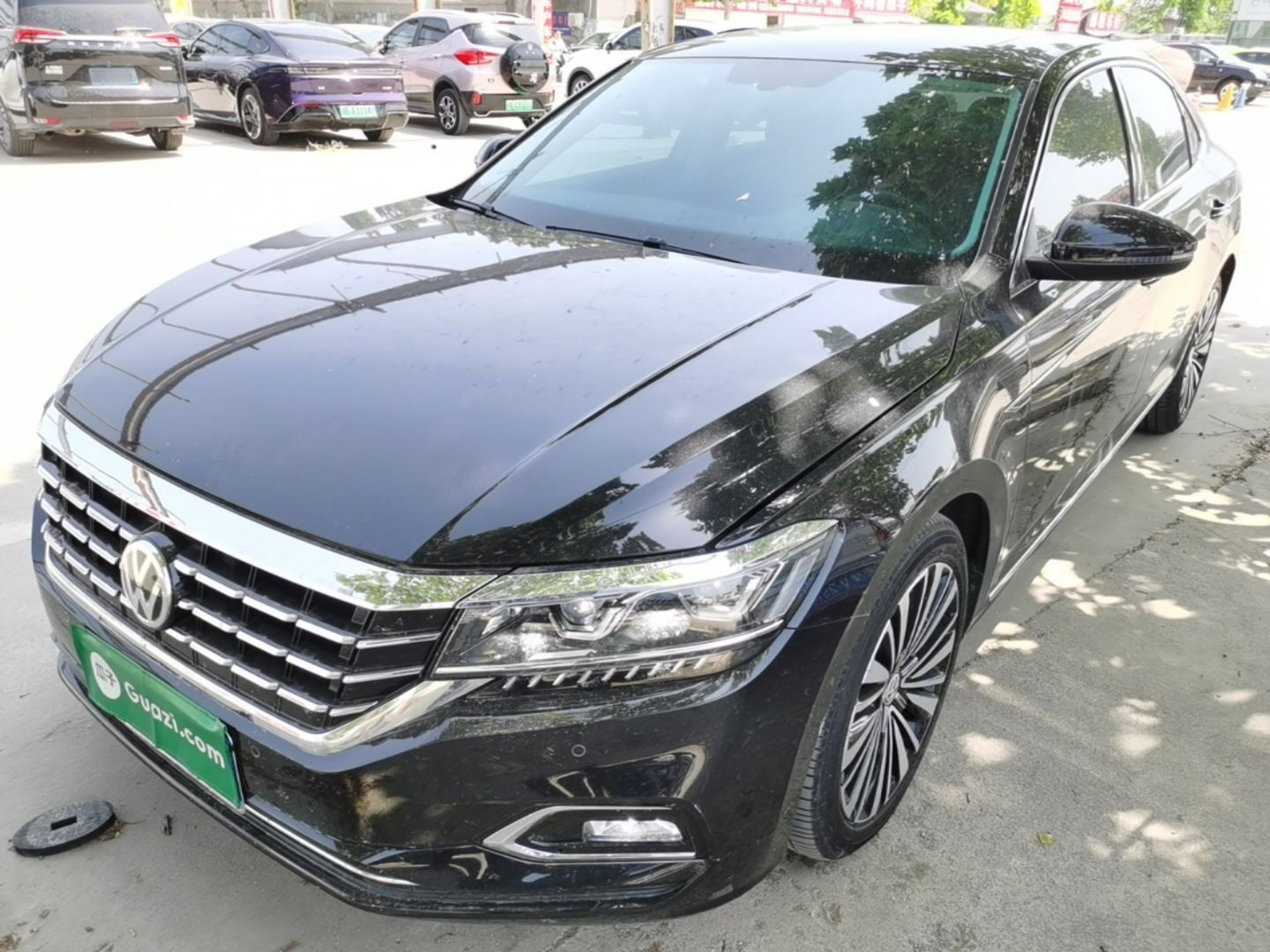 Parte inferior delantera