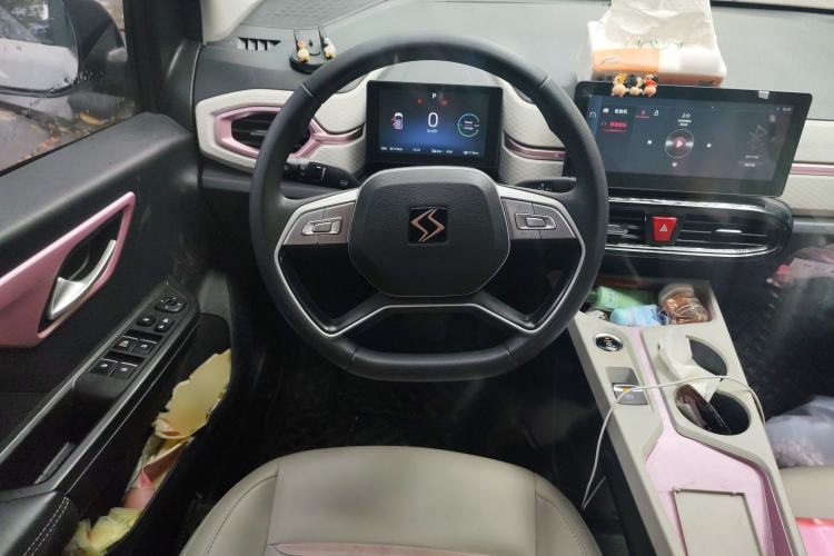 Used SOL E10X 2022 Flower Fairy Design Four-Leaf Clover
