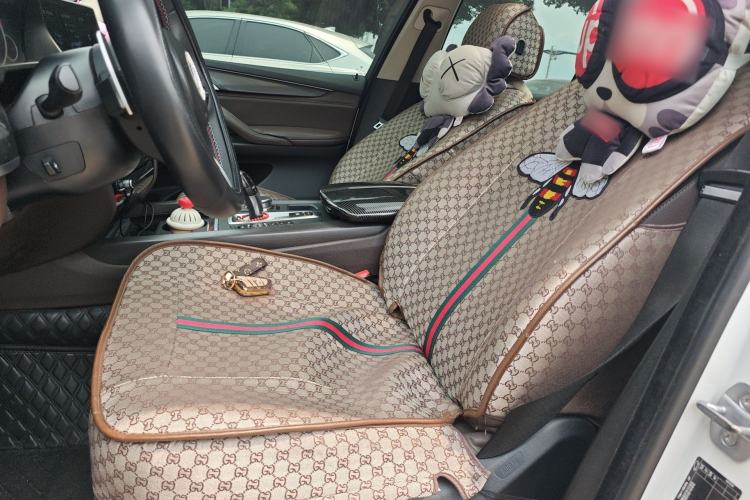 Used BMW X5 2018 xDrive28i Left Front Seat