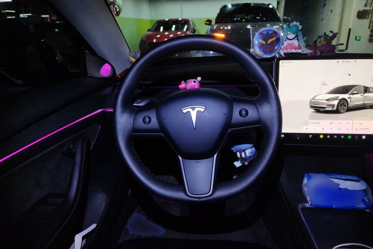 Used Tesla Model 3 2022 Rear-Wheel-Drive Version