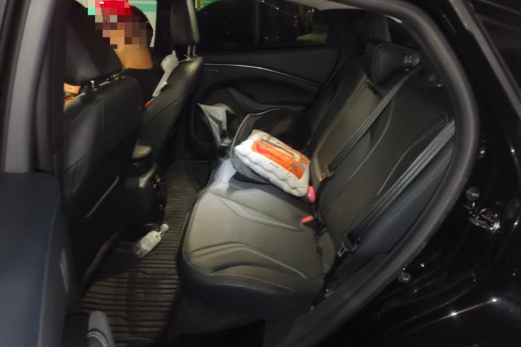 Used Ford Mustang Mach-E 2021 AION Y Plus Rear-Drive Luxury Edition (Long Range)