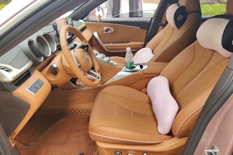 Used ORA Lightning Cat 2022 555 km Luxury Edition Left Front Seat