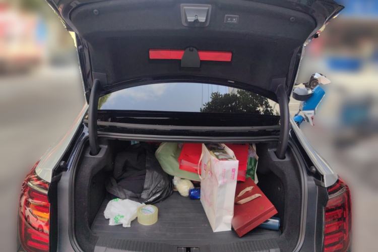 Used Hongqi H9 2024 2.0T Qixiang Private Style Edition
