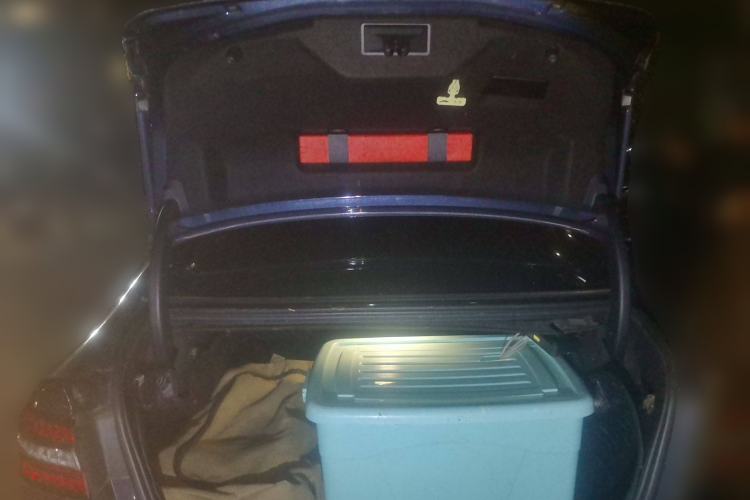 Used Ford Taurus 2019 EcoBoost 245 Premium Edition
