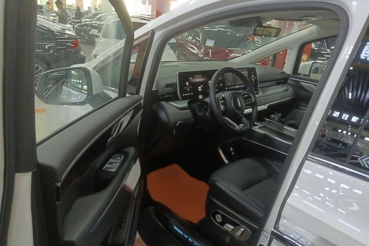 Used Wey Gaoshan 2023 Four-Wheel Drive Flagship Edition
