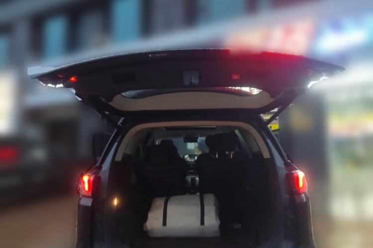 Used Dayun Yuanzhi M1 2022 4-Seater 450 First-Class Seats
