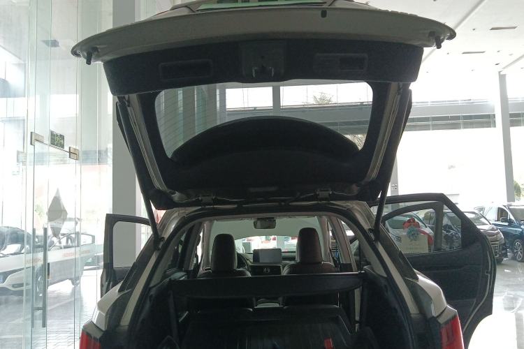 Used Lexus RX 2020 Revised Version 300 Two-Wheel Drive Elite Edition
