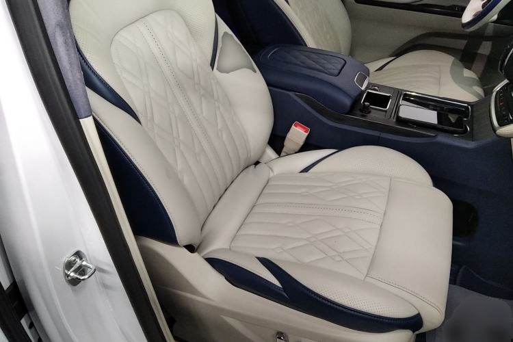 Used Buick GL8 2022 ES Landtrek 653T Comfort Edition