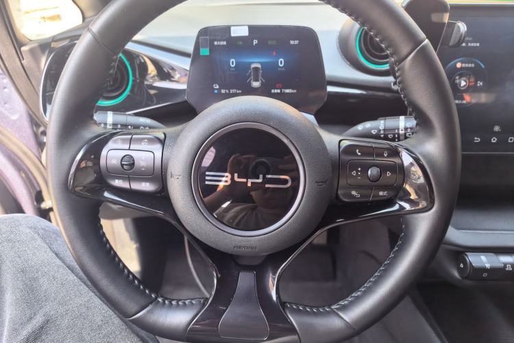 Used BYD Dolphin 2024 Honor Edition 420km Freedom Version
