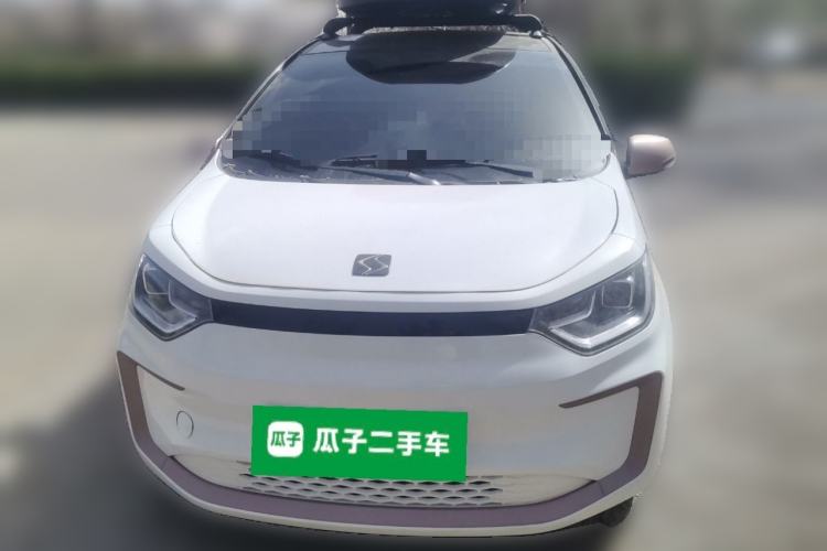 Used SOL E10X 2022 Flower Fairy Style Baby's Breath
