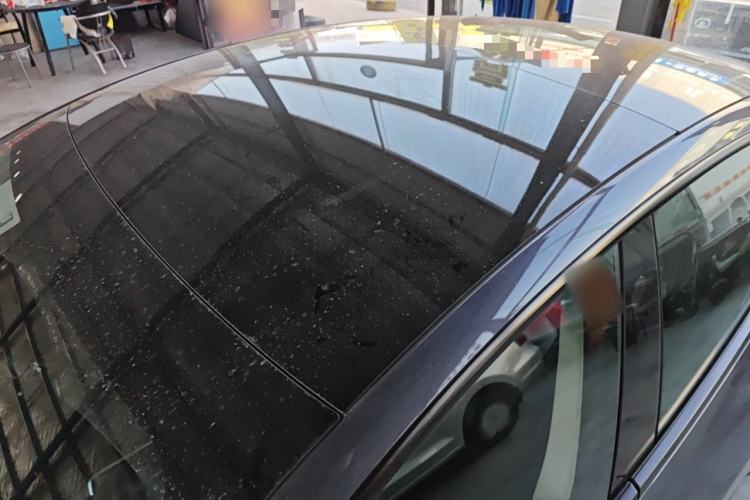 Used Tesla Model 3 2022 Rear-Wheel-Drive Version
