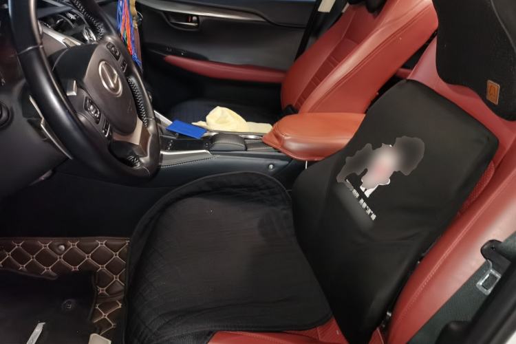 Used Lexus NX 2020 200 Front-Wheel Drive Freeline Edition China VI Standard Left Front Seat