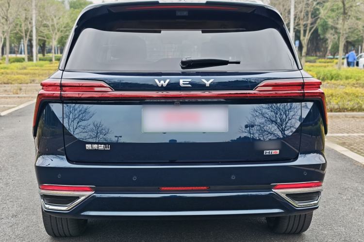 Used Wey Lanshan 2025 Four-Wheel Drive Max