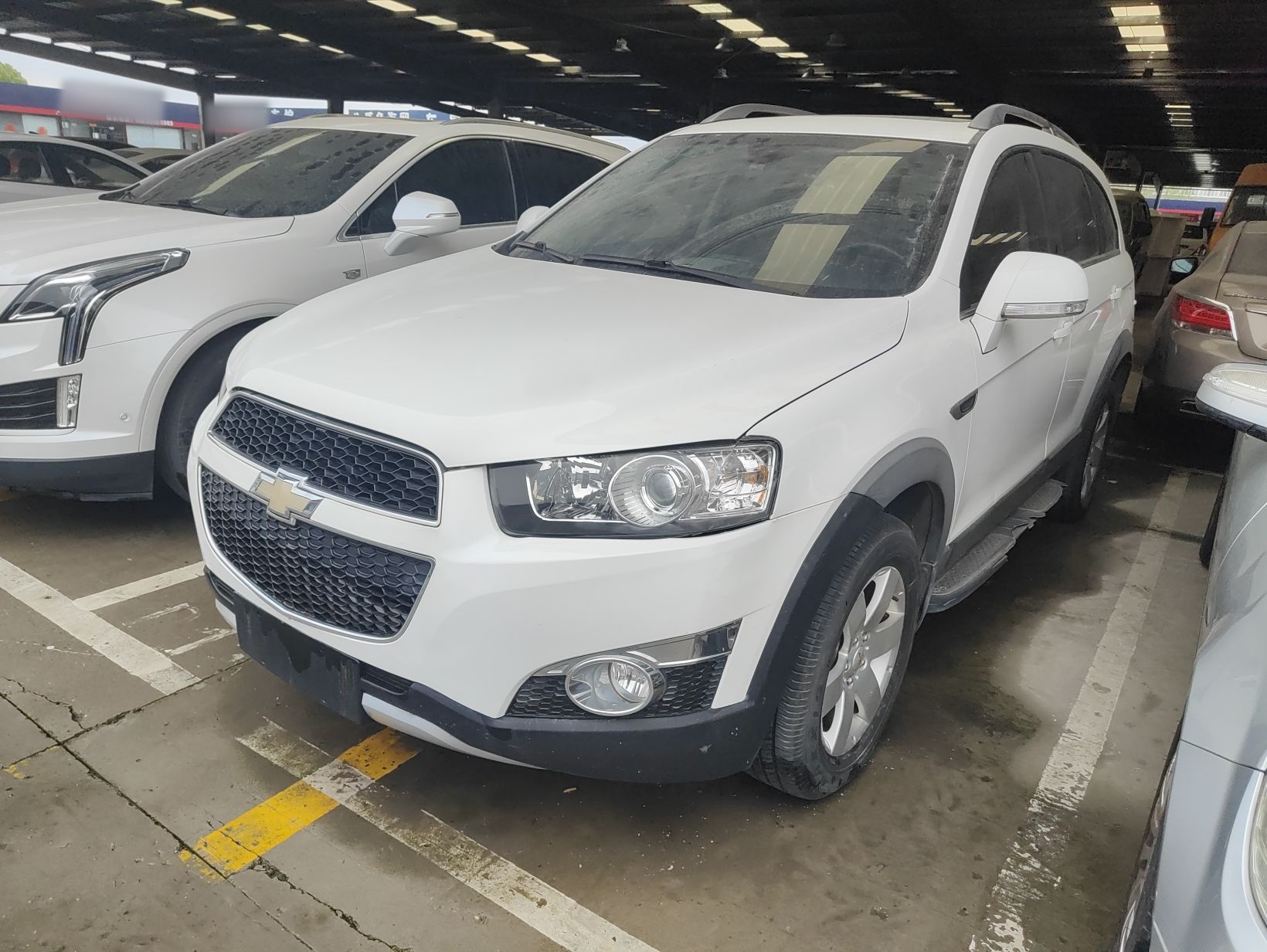 Parte inferior delantera