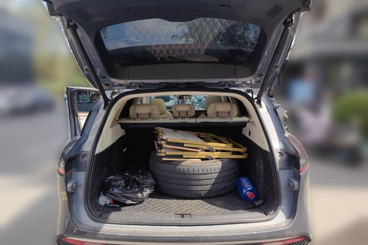 Used VOYAH FREE 2021 Four-Wheel Drive Standard Range-Extended Exclusive Luxury Package