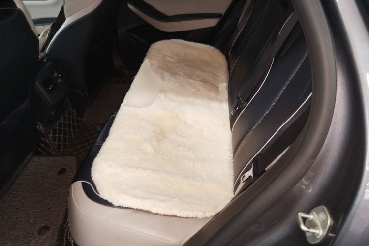 Used BYD Qin PLUS 2021 EV 400KM Luxury Model Left Rear Seat