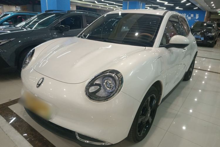 Used ORA Good Cat 2024 401 km Luxury Version