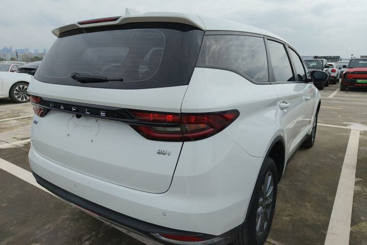 Used Livan Maple 80V 2021 Youtong Edition Lithium Iron Phosphate