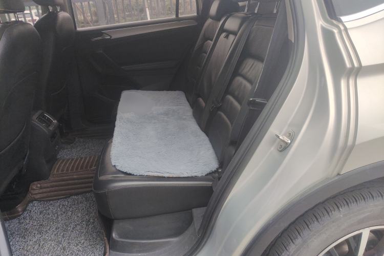 Used Volkswagen Tiguan L 2018 330TSI Automatic Two-Wheel Drive Luxury Edition Left Rear Seat