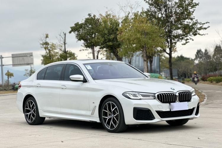 Used BMW 5 Series 2023 530Li Luxury Edition M Sport Package Exterior 10