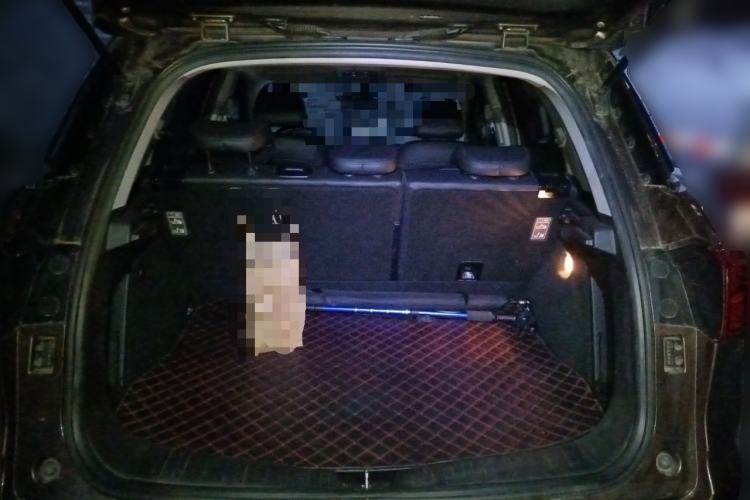 Used Haval H6 Coupe 2016 Blue Label 1.5T Manual Two-Wheel Drive Urban Model