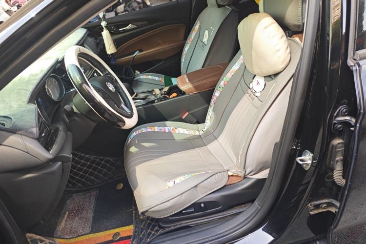 Used Buick Regal 2019 20T Elite Version China V Standard