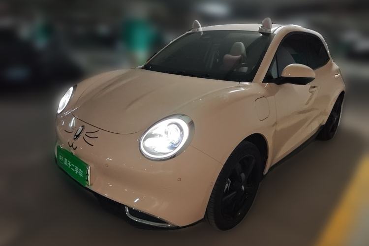 Used ORA Good Cat 2024 401 km Luxury Version 126 kW