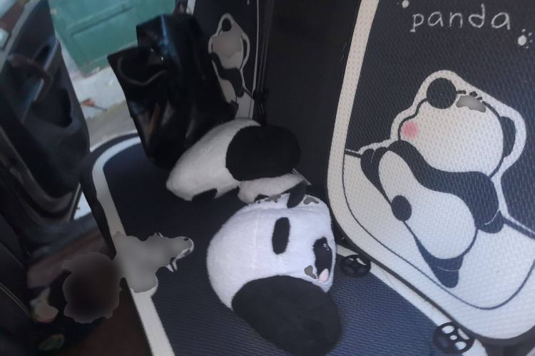 Used Zotye T600 2017 1.5T Manual Elite New Year Edition
