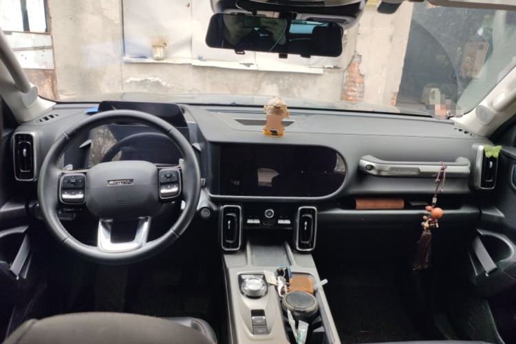 Used Haval DARGO 2024 2.0T DCT Chinese Rural Dog Edition