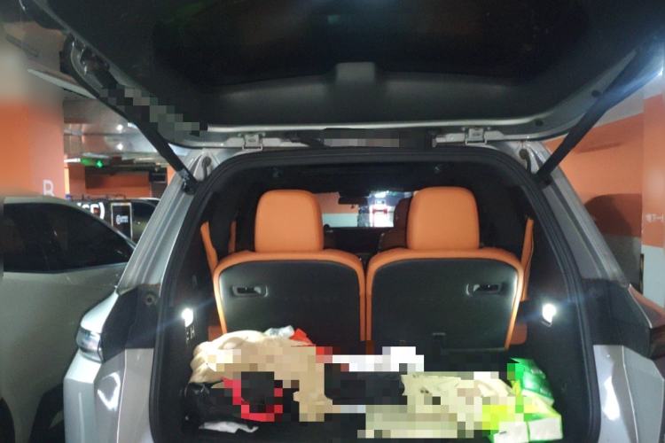 Used Li Auto L9 2022 Max model
