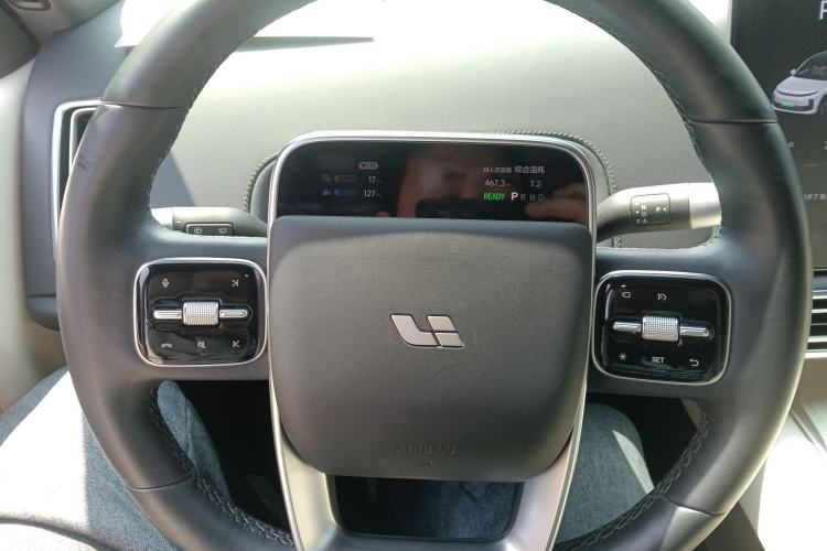 Used Li Auto L6 2024 Pro Model
