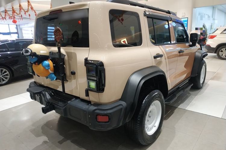 Used Tank 300 2024 2.0T Conqueror