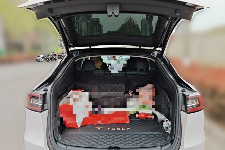 Used Tesla Model Y 2021 Long-Range All-Wheel-Drive Version 3D7