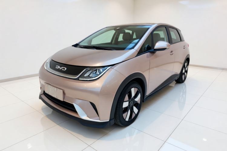 Used BYD Dolphin 2021 401km Knight Edition