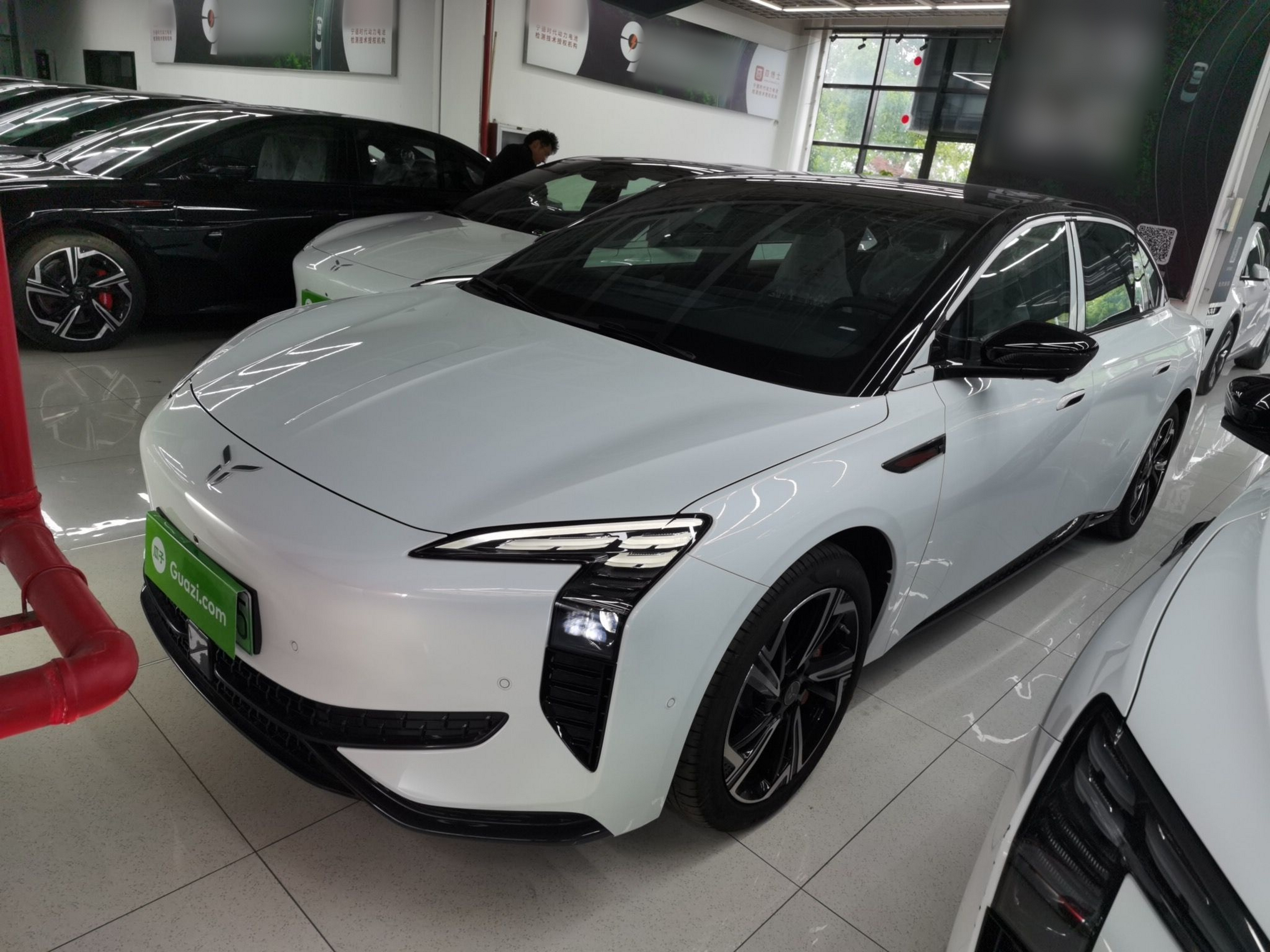 Parte inferior delantera