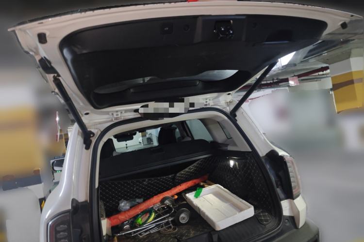 Used Haval DARGO 2021 2.0T DCT 4x4 Chinese Rural Dog Edition
