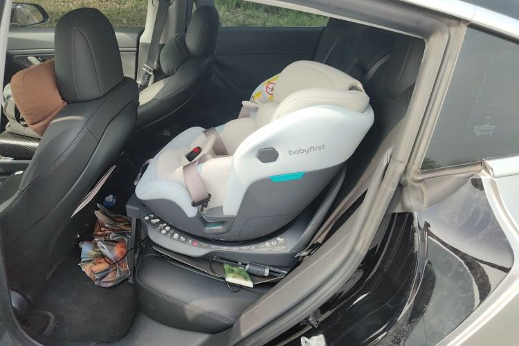 Used Tesla Model 3 2020 Revised Version Standard Range Rear-Wheel Drive – Upgraded Edition Left Rear Seat