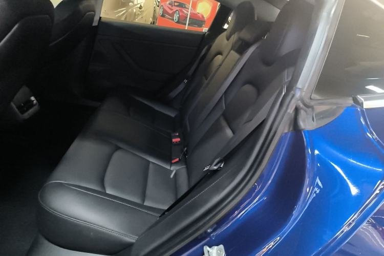 Used Tesla Model 3 2019 Performance High-Performance All-Wheel-Drive Version Left Rear Seat
