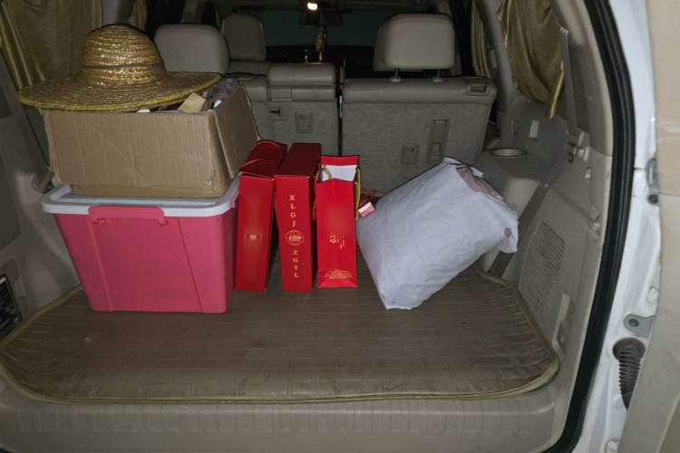 Used Toyota Prado 2010 4.0L Automatic TX Trunk