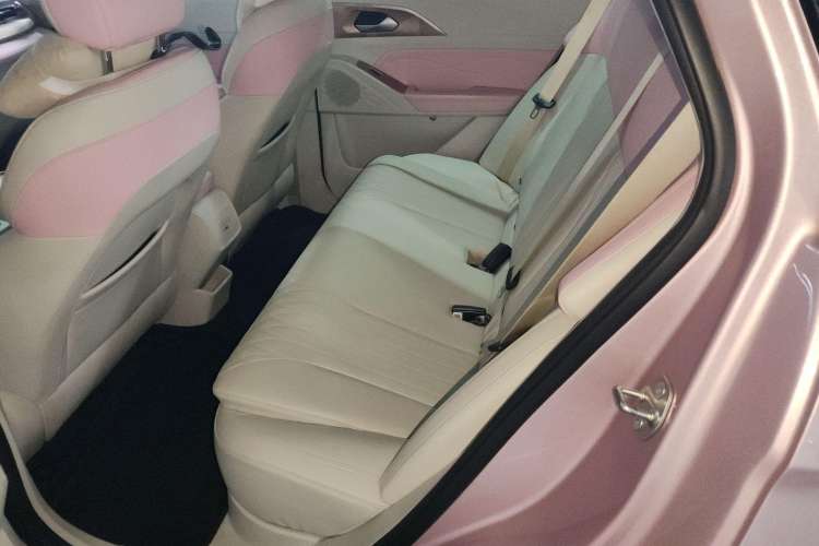 Used Geometry E Firefly 2023 401 km Super-Liked Special Edition 5 Seats