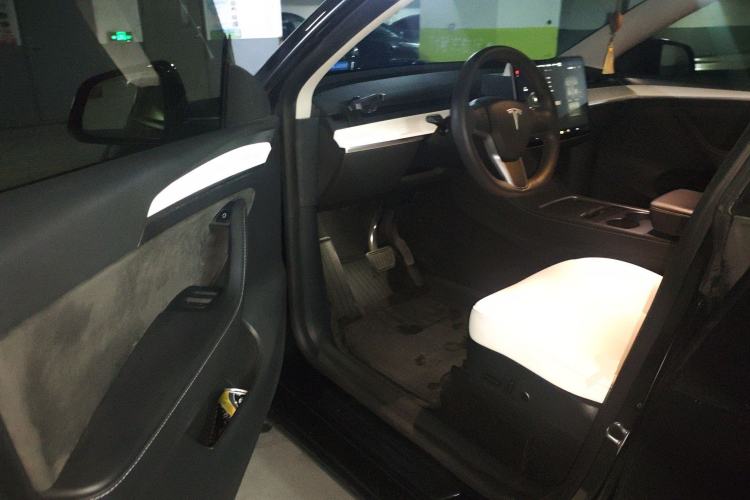 Used Tesla Model Y 2021 Standard Range Rear-Wheel Drive Version
