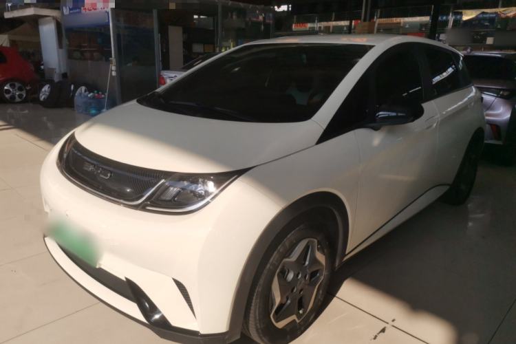 Used BYD Dolphin 2021 405 km Free Version