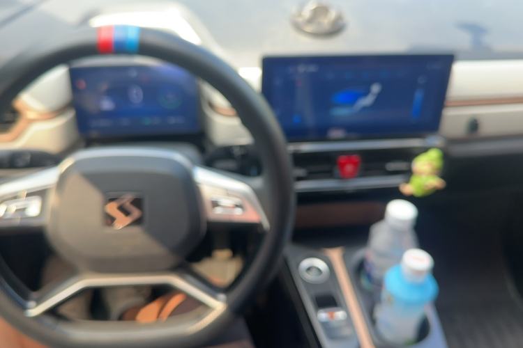 Used SOL E10X 2022 Flower Fairy Design Four-Leaf Clover