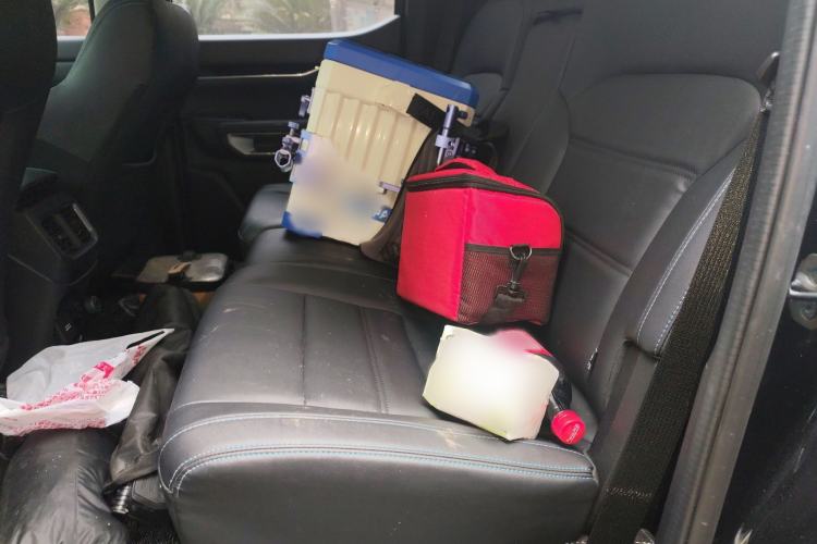 Used Ford Ranger 2023 Shanlin Two-Wheel Drive Automatic Version Gasoline