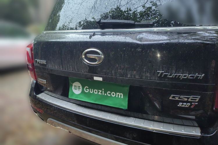 Used GAC Trumpchi GS8 2017 320T Four-Wheel Drive Luxury Smart Connectivity Version (7 Seats) Rear