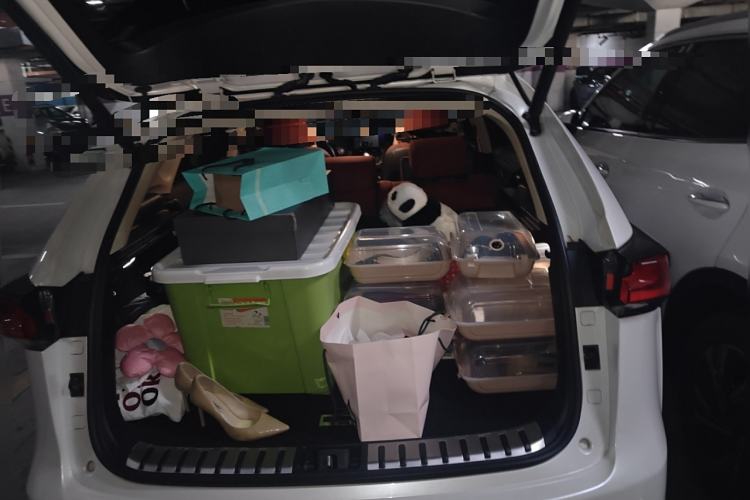 Used Lexus NX 2017 200 Front-Wheel-Drive X-Trail SE Edition Trunk