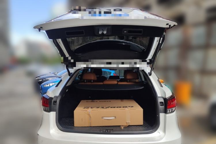 Used Lexus RX 2020 Revised Version 300 Two-Wheel Drive Comfort Edition
