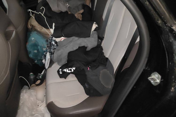 Used BYD Qin PLUS 2023 Champion Edition DM-i 55KM Leading Model Left Rear Seat