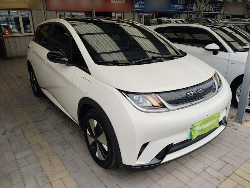 Used BYD Dolphin 2023 420 km Fashion Edition — 3