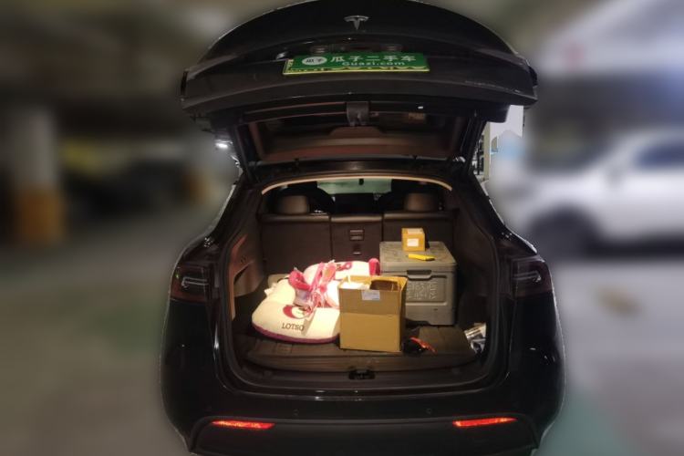 Used Tesla Model Y 2021 Standard Range Rear-Wheel Drive Version
